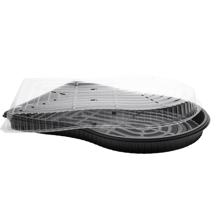 marquee home 6 v4